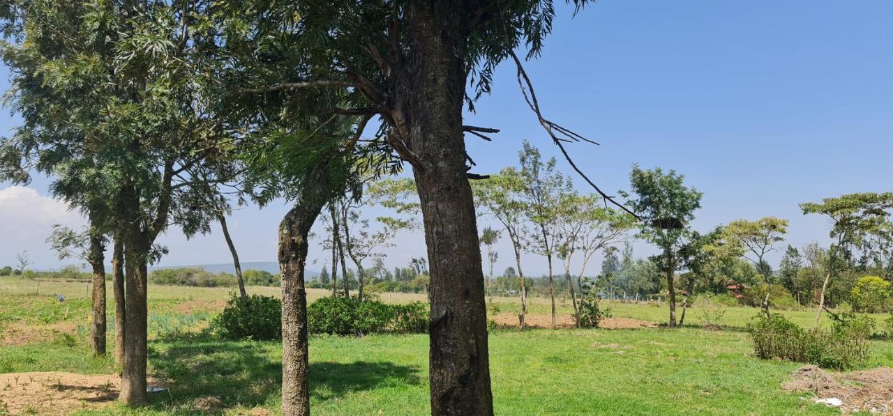 Le Tai Village Resort Near Solio Game Reserve Mweiga Экстерьер фото